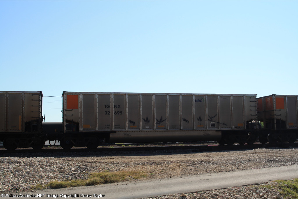 TGNX 32695